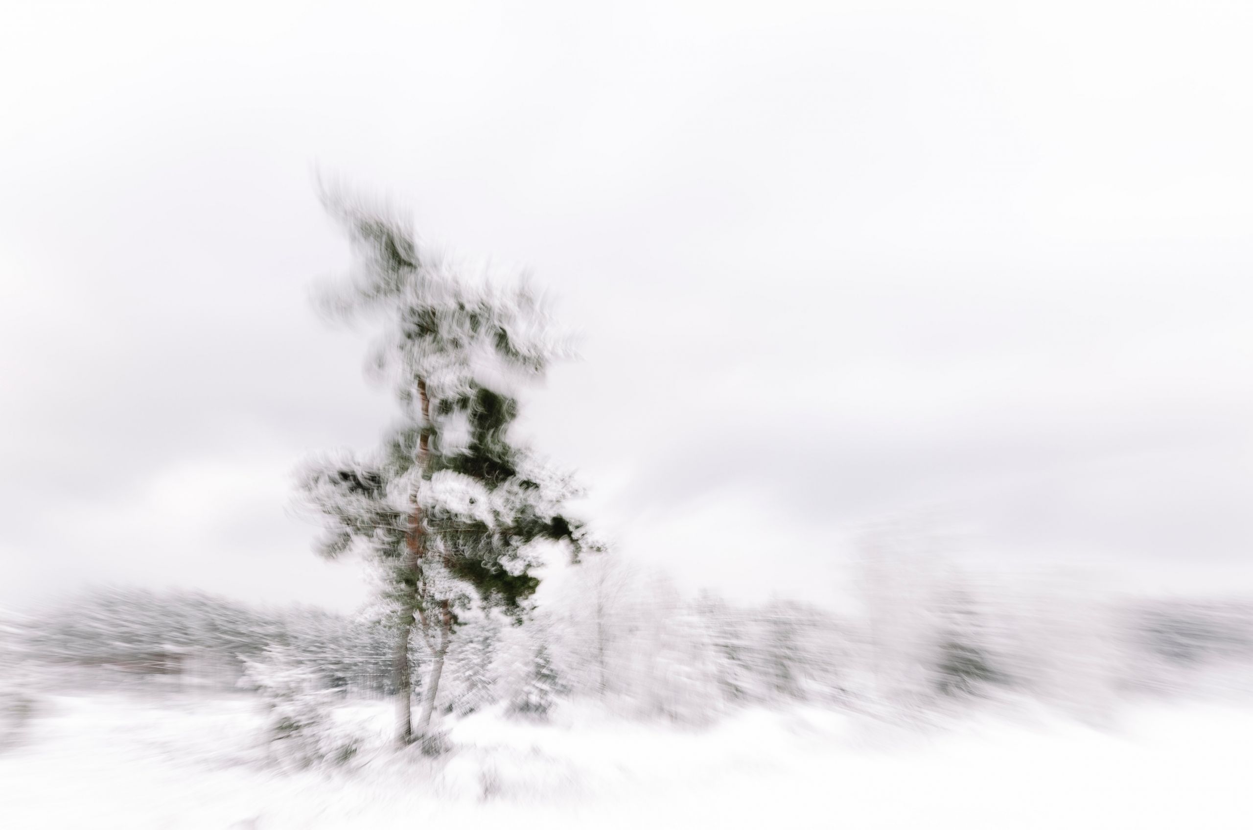 aaron-blanco-tejedor--pXBfUFWfqg-unsplash