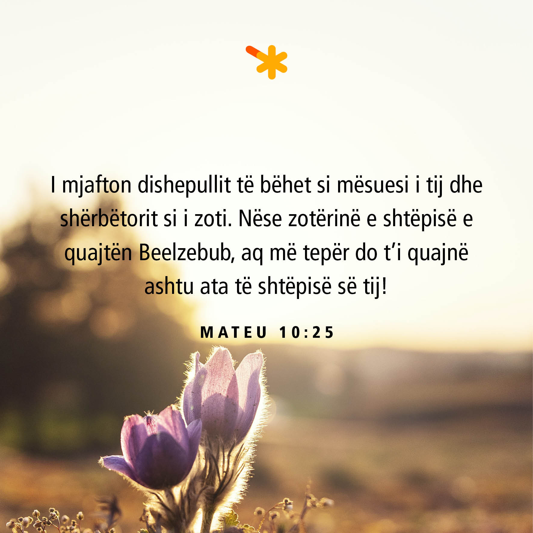 spurgeon dev 10 n├½ntor pm