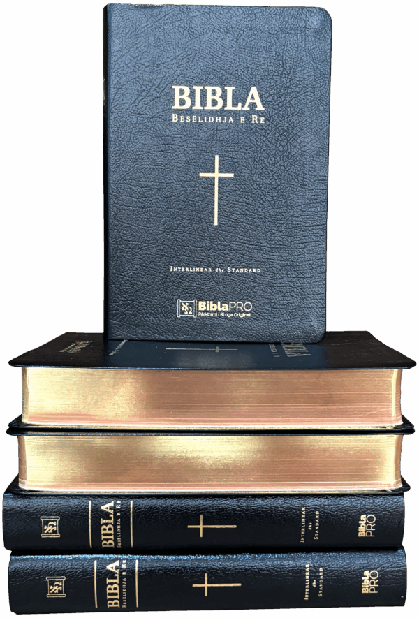 bibla pro – besëlidhja e re (interlinear)