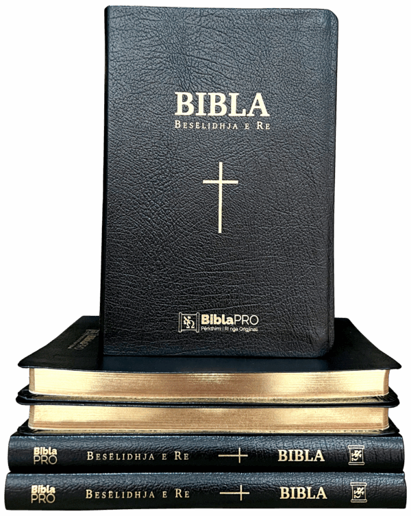 bibla pro – besëlidhja e re (standard)
