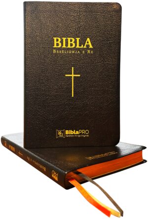 bibla pro – besëlidhja e re (standard)