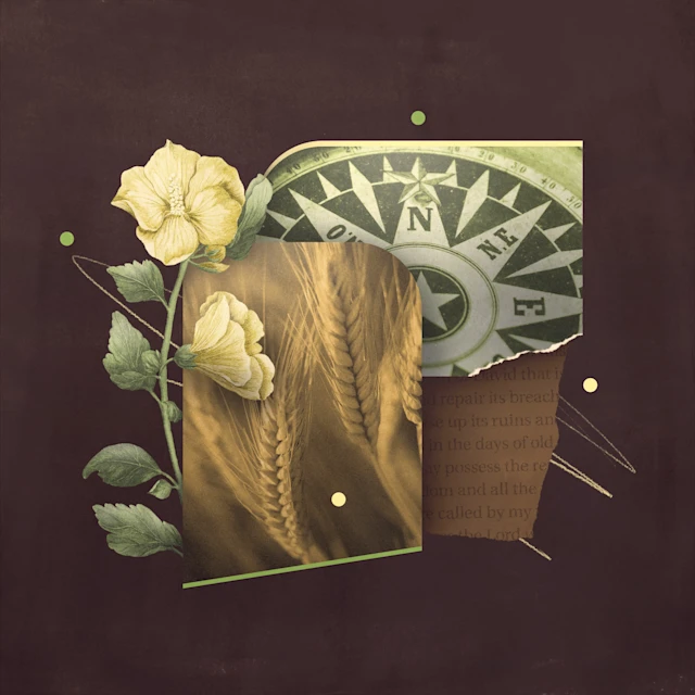 tri gjëra që duhet t’i dini rreth amosit