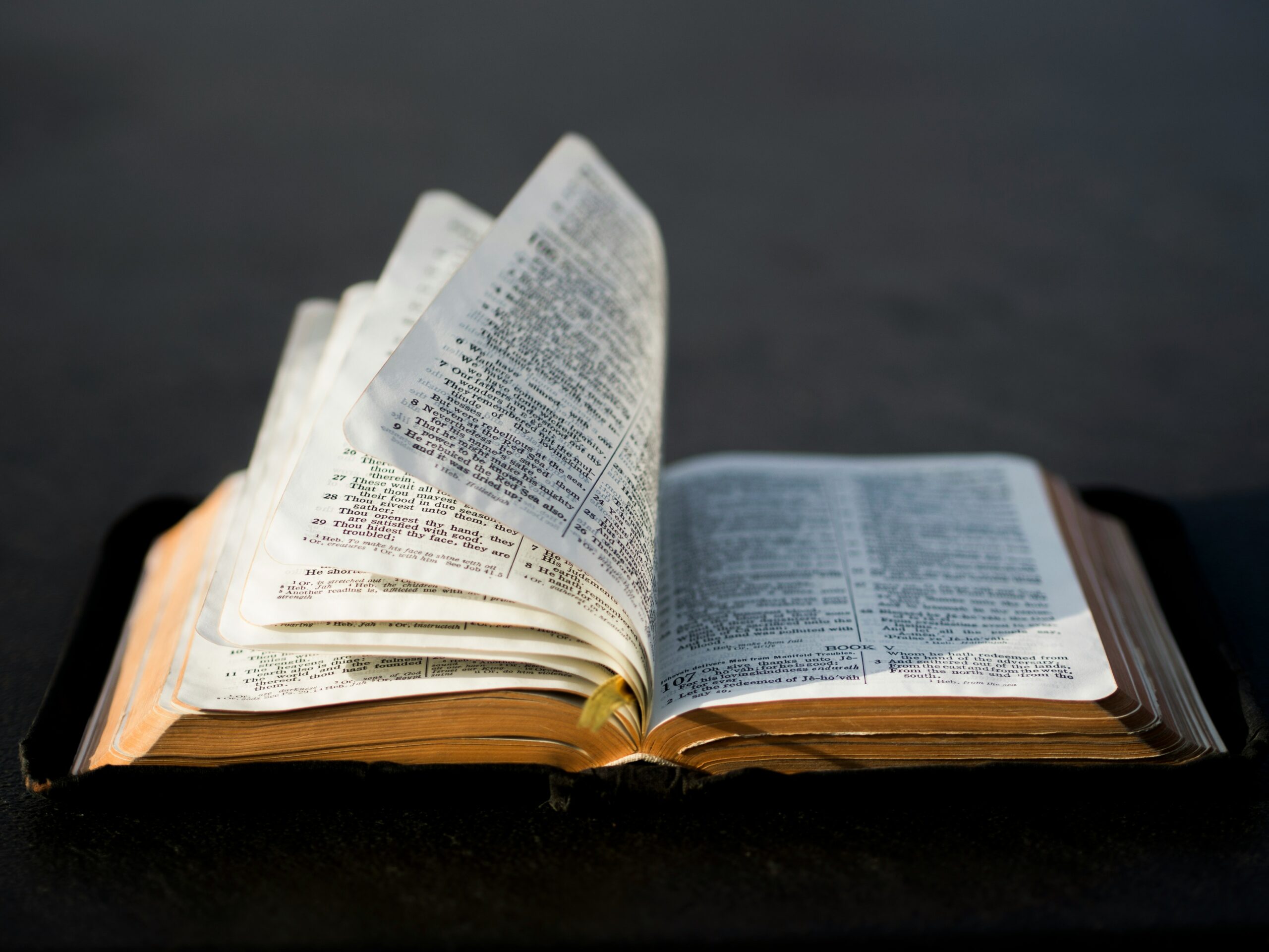 A mund t’i besojmë Biblës?